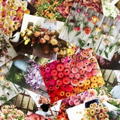 Chronicle Books Ramos de la granja de flores 100 postales