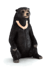 Mojo malajský medveď