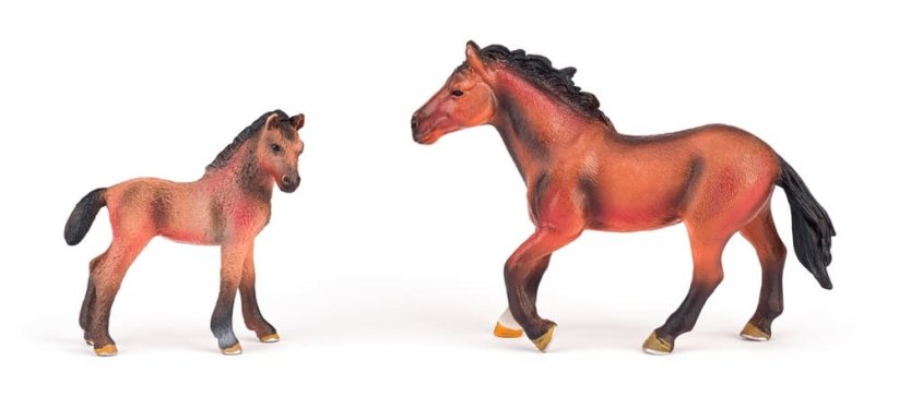 Sada koní s lipicánem