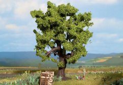 Noch PROFI Oak 15 cm