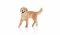 Schleich 16395 Golden Retriever Samica