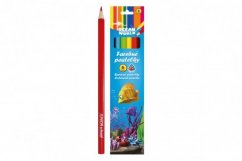 Crayons de couleur en bois Ocean World triangulaire 6 pièces dans une boîte 4,5x20x1cm