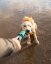 Ruffwear Pacific Loop™ Hračka pro psy Aurora Teal 52cm