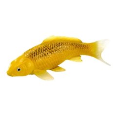 Mojo Carp koi rokon matsuba