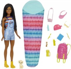 Bábika Barbie Dreamhouse Dobrodružstvo v kempe Brooklyn