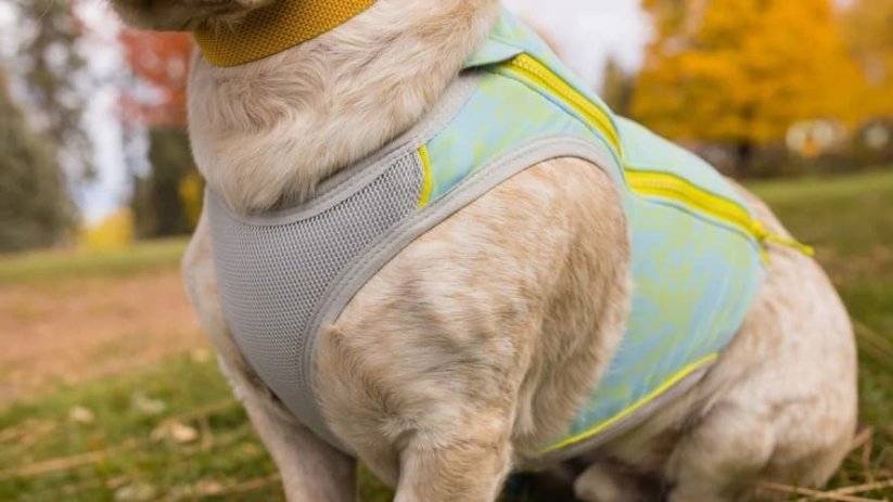 RUFFWEAR Swamp Cooler Zip™ Chladící vesta pro psy Blue Mist M