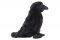 Cuervo de peluche de 24 cm