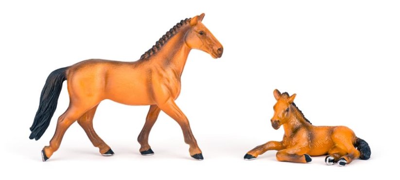 Sada koní s grošákem