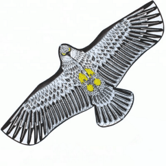 SPORTO Zbor zmeu - vultur