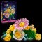 Lego Botanicals 10347 Drobná slunečná kytice