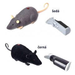 Szczur na kontrolkach