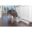 PetSafe® Fontánka 7,5l