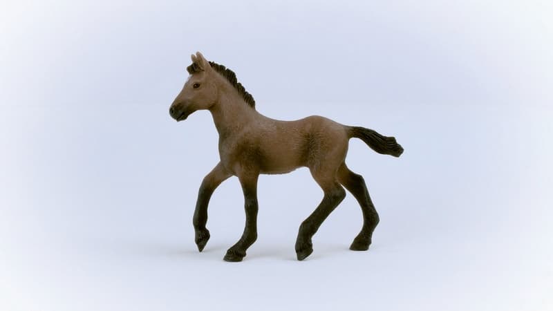 Schleich 13954 Peruvian Paso Foal