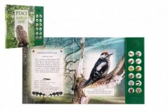 Vtáky našich lesov zvuková kniha