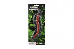 Centipede întindere cățărare pe sticlă de plastic 22cm pe card