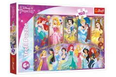 Puzzle Portraits de Princesses Disney 41x27,5cm 160 pièces