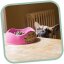 Miska pro psa, BecoBowl, EKO-pink-L