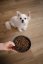 ALMI Puppy & Mini Junior 3kg