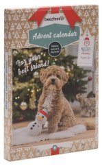 Beeztees PAW adventný kalendár pre psov 100g