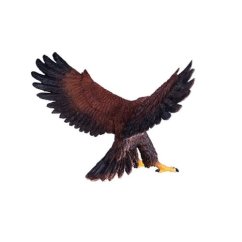 Mojo Eagle