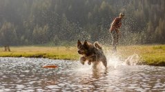 Ruffwear Hydro Plane™ Hračka pro psy Campfire Orange L