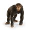 Schleich 14883 Zwierzę - Szympans