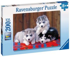 Šteniatka husky 200 kusov XXL