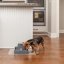 PetSafe® Fontánka 1,8l