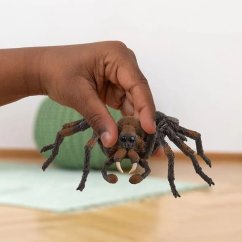 Harry Potter - Aragog