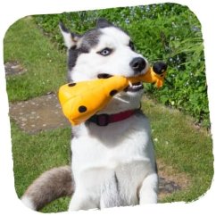 Beco Family Hračka pro psy George žirafa M 26cm