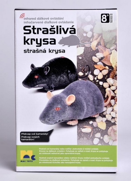 Szczur na kontrolkach