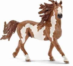 Schleich 13794 ét ét ét étalon Pinto