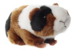 Pluș Guinea Pig
