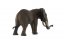 Éléphant zoo d'Afrique