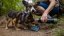 RUFFWEAR Great Basin™ Miska pro psy L