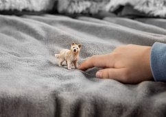 Schleich 14881 Mládě vlka arktického