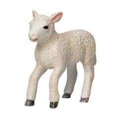 Mojo Lamb Romney Marsh alergând