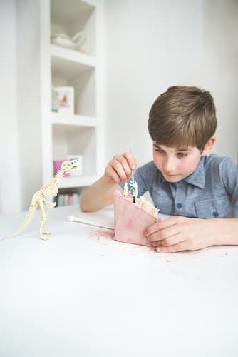 4M Dinosauří kostra - Triceratops