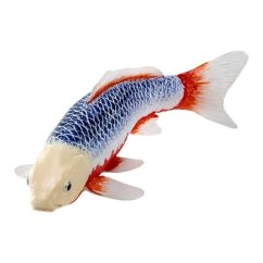 Mojo Carp koi asagi