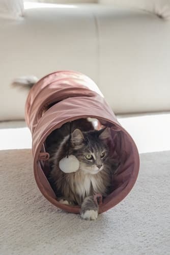 Designed by Lotte Tunel pro kočky Cylla růžový 65x25x25cm