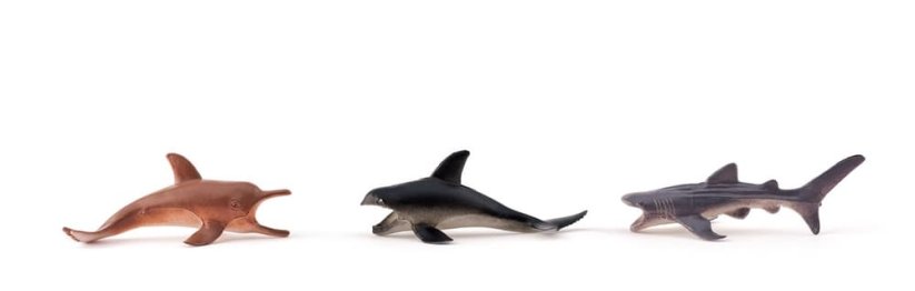 Adventní kalendář, Planeta zvířat