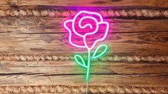 2Kids Toys LED NEON LIGHT lampička Růže