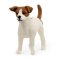 Schleich 13916 Mascota Terrier Jack Russell