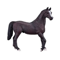 Mojo Armăsar arab Negru
