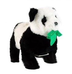 Panda acrobat