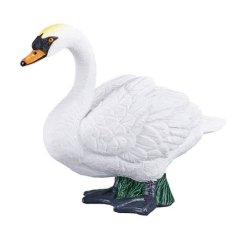 Mojo Swan mare