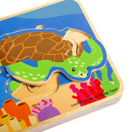 Bigjigs Toys Puzzle sur le cycle de vie des tortues