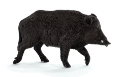 Animal Planet Diviak