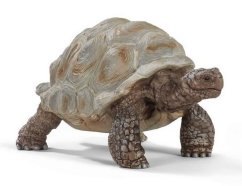Schleich 14824 Tortue géante