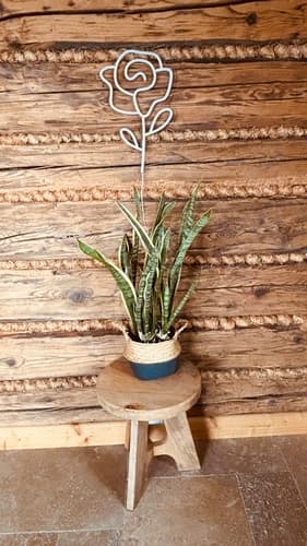 2Kids Toys LED NEON LIGHT lampička Růže